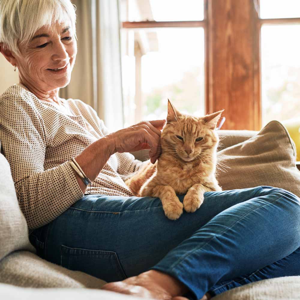 Assisted Living resident sitting on couch petting cat