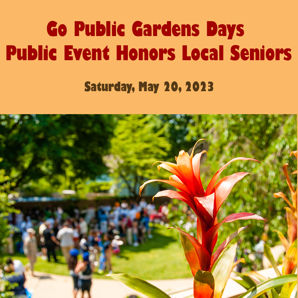 Go Public Gardens Days Public Event Honors Local Seniors