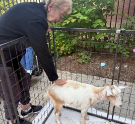 515162228_1246264177515293_4592287816043817620_n